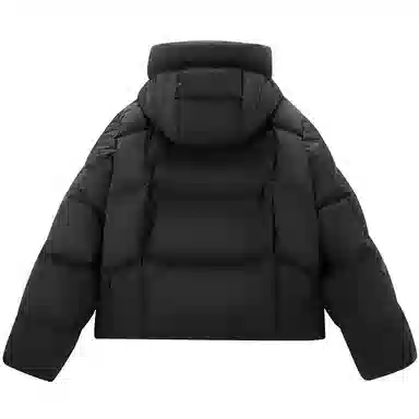 Peacebird Hot Air Balloon 2.0