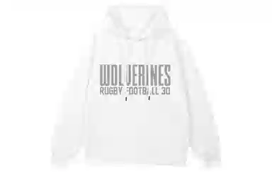 NCAA Michigan Hoodie