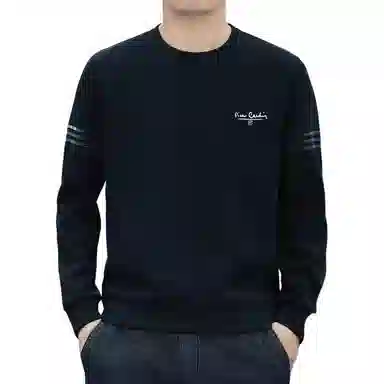 PIERRE CARDIN LOGO