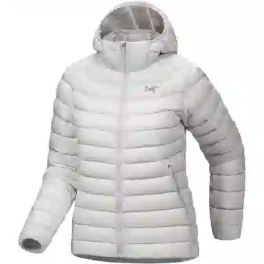 Arcteryx Cerium LT 850logo