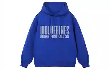 NCAA Michigan Hoodie