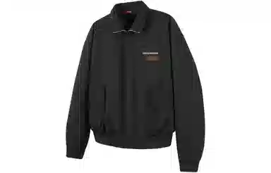 ALI THE FOX cleanfitLogo