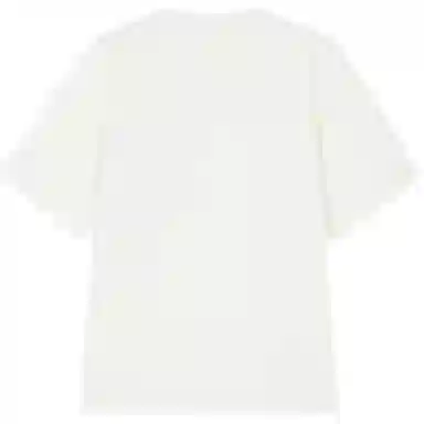 DESCENTE ALLTERRAIN 81 FW25 T