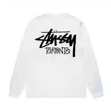 Stussy FW25 logoT