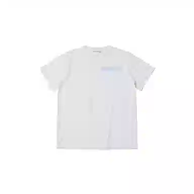 THE MUSEUM VISITOR T