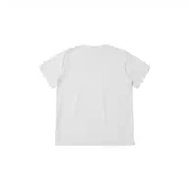 THE MUSEUM VISITOR T