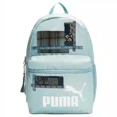 PUMA 811