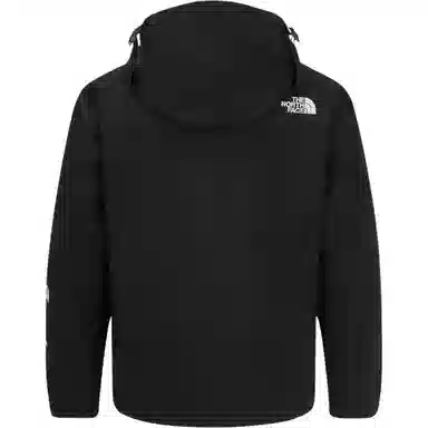 THE NORTH FACE 1994 Gtx Mountain Logo