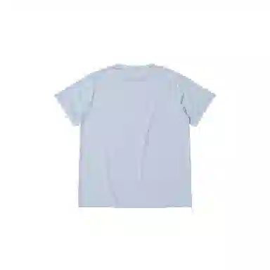 THE MUSEUM VISITOR T