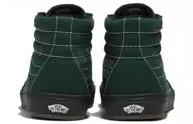 Vans SK8 238 Dakota Roche Bmx