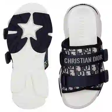 DIOR D-Wander