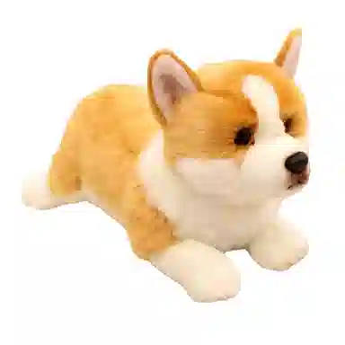 40cm