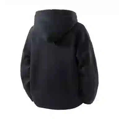 GOOSELIAR