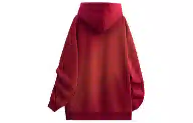 SOIEPLUS Logo Hoodie