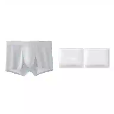 JEANSWEST Ice Silk Boxer Shorts