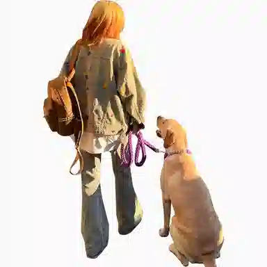 WHELVE 3D