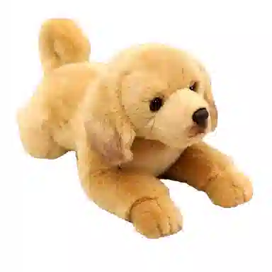 40cm
