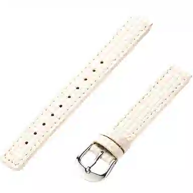 Watch GT5 PROgt43 135230mm