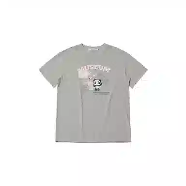 THE MUSEUM VISITOR T