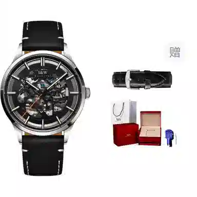 IW CARNIVAL HWGUOJI DW8588G