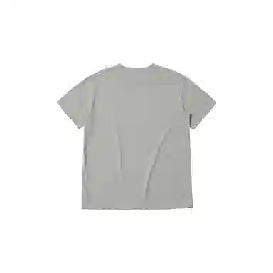 THE MUSEUM VISITOR T