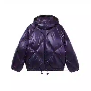 Lacoste Down Jacket Detachable Hood
