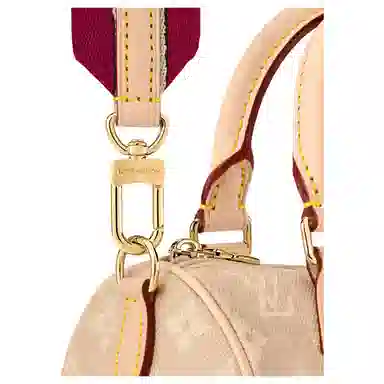 LOUIS VUITTON x Grace Coddington SpeedyCatogram 20 Meowgram