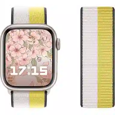 Penc iwatch Apple Watch s98765SE24549mm