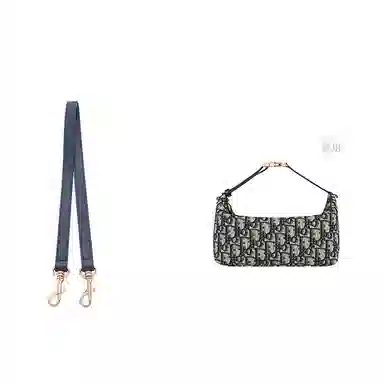 diorTravel Nomad Oblique