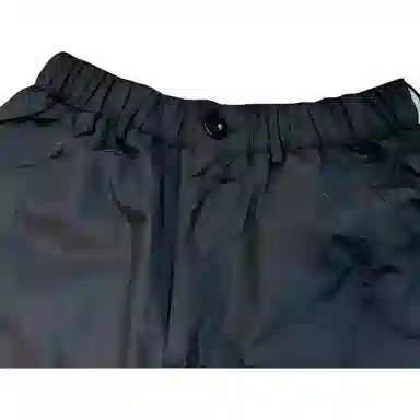 PINSCIO ZENIE
