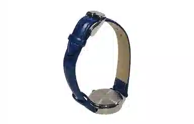 CASIO LTP-1241D-2A Blue Dial