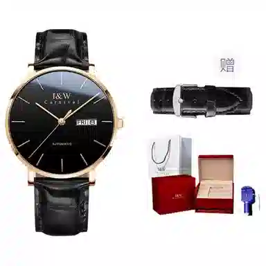 I&W Carnival IW8028PG