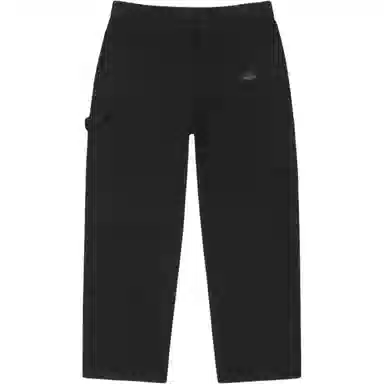 Stussy FW25 CARPENTER PANT CANVAS