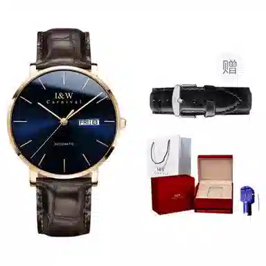 I&W Carnival IW8028PG