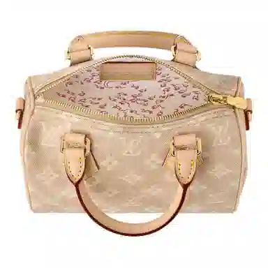 LOUIS VUITTON x Grace Coddington SpeedyCatogram 20 Meowgram