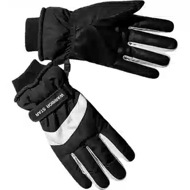 Warrior Ski Gloves