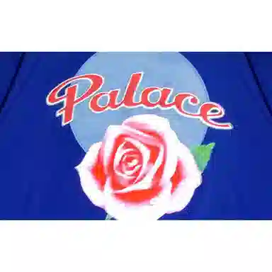 Y-3 x Palace FW22 Jacket