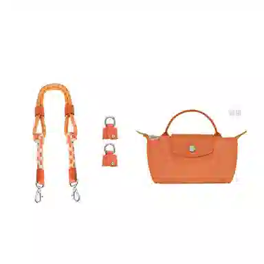 longchamp Le Pliage-17mini