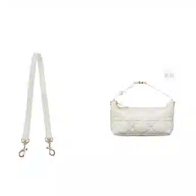 diorTravel Nomad Oblique