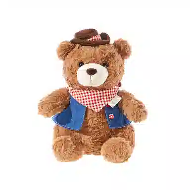 The Green Party 25cm38cm