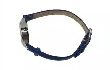 CASIO LTP-1241D-2A Blue Dial