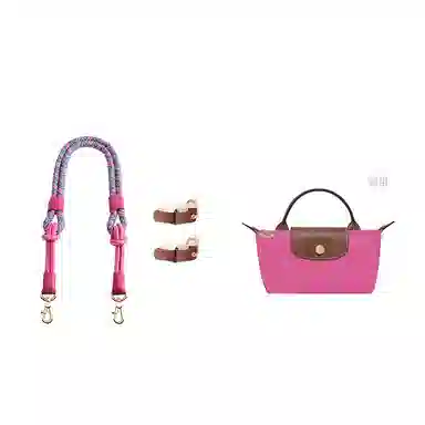 longchamp Le Pliage-17mini