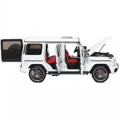 Almost Real -AMG G 63 2019 118