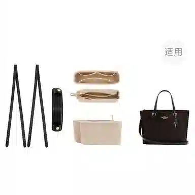 jingxi coachmollie25