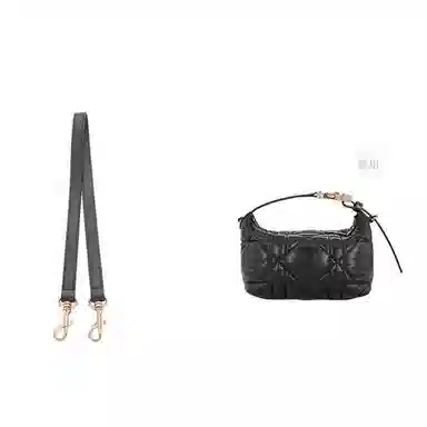 diorTravel Nomad Oblique