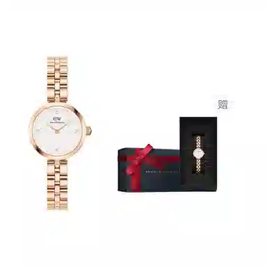 Daniel Wellington Classic Petite
