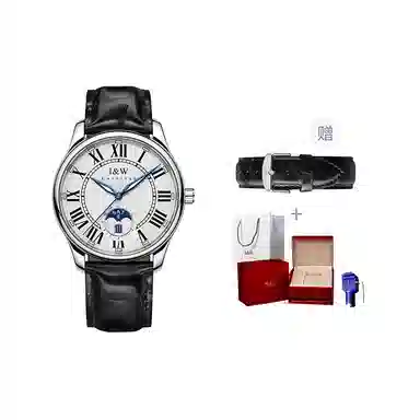 IW CARNIVAL HWGUOJI 685