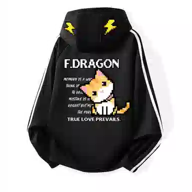fdragon logo
