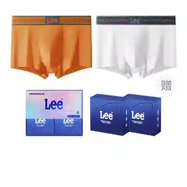 Lee 1.0 10AA 2
