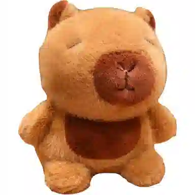 15cm